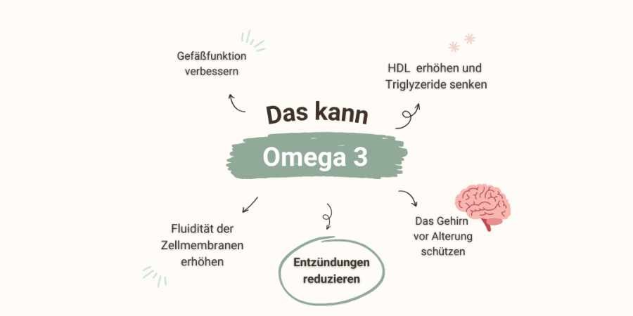 Gesunde Omega 3 Fettsäuren