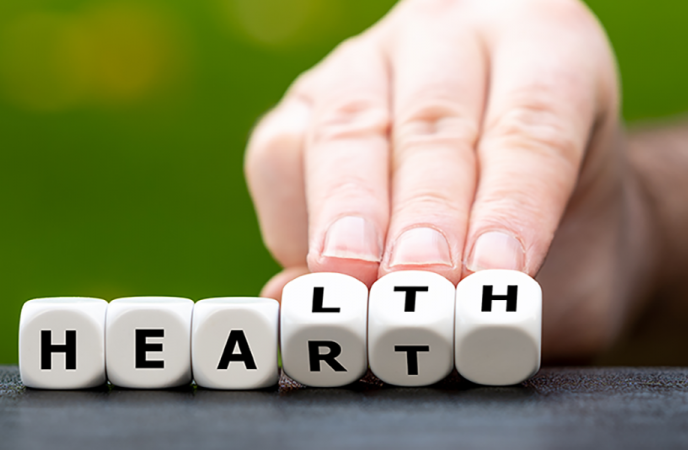 Herzinfarkt: Nicht die Cholesterinlüge, sondern die ganze Wahrheit